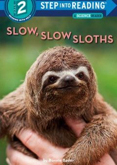 Slow, Slow Sloths on Sale