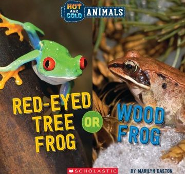 Red-Eyed Tree Frog or Wood Frog For Sale