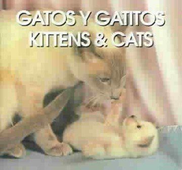 Gatos Y Gatitos Kittens & Cats Discount