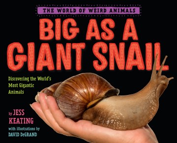 Big As a Giant Snail Supply