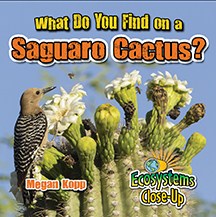 What Do You Find on a Saguaro Cactus? Online