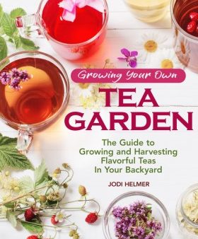 Growing Your Own Tea Garden Hot on Sale