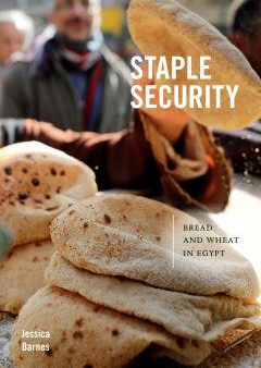 Staple Security For Cheap