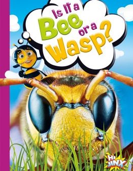 Is It a Bee or a Wasp? For Discount