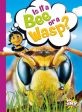 Is It a Bee or a Wasp? For Discount